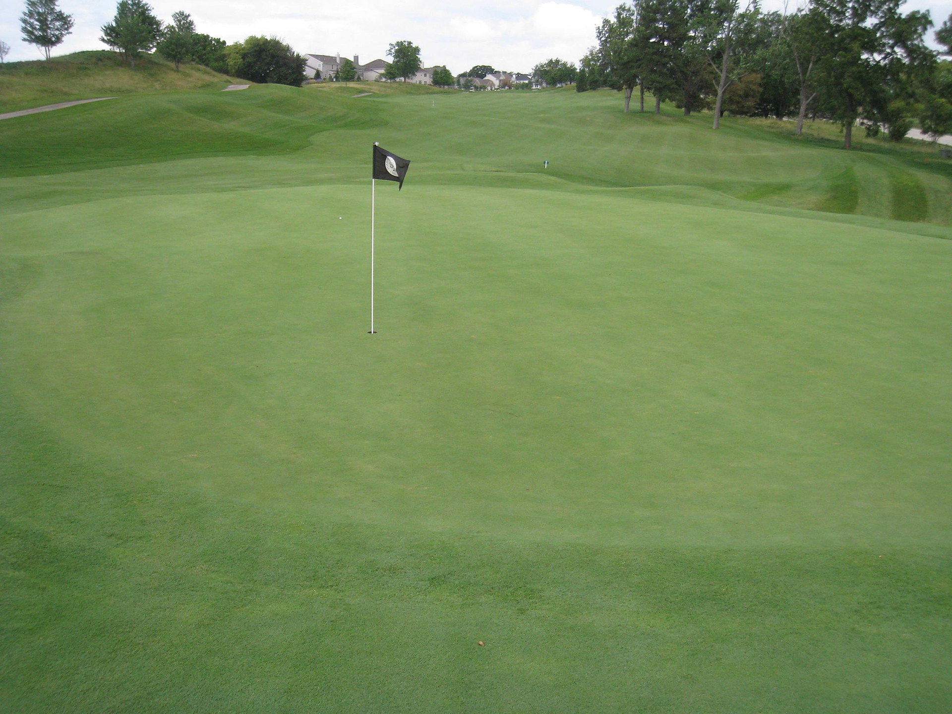 Golf green and fairway with trees in the distance