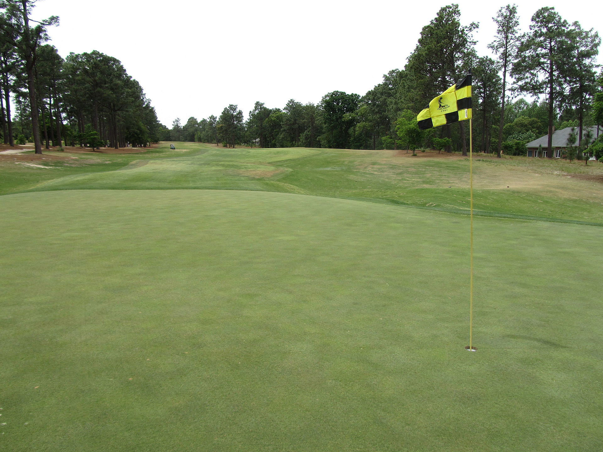 Bright golf green with fairway surrounds